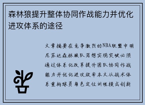 森林狼提升整体协同作战能力并优化进攻体系的途径