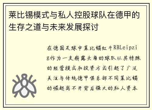莱比锡模式与私人控股球队在德甲的生存之道与未来发展探讨